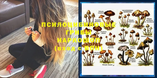 крисы Беломорск