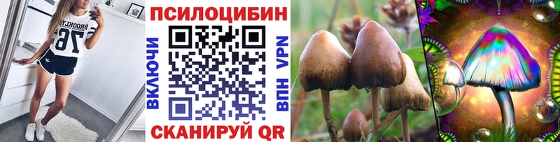 Галлюциногенные грибы Psilocybine cubensis  Краснокамск 